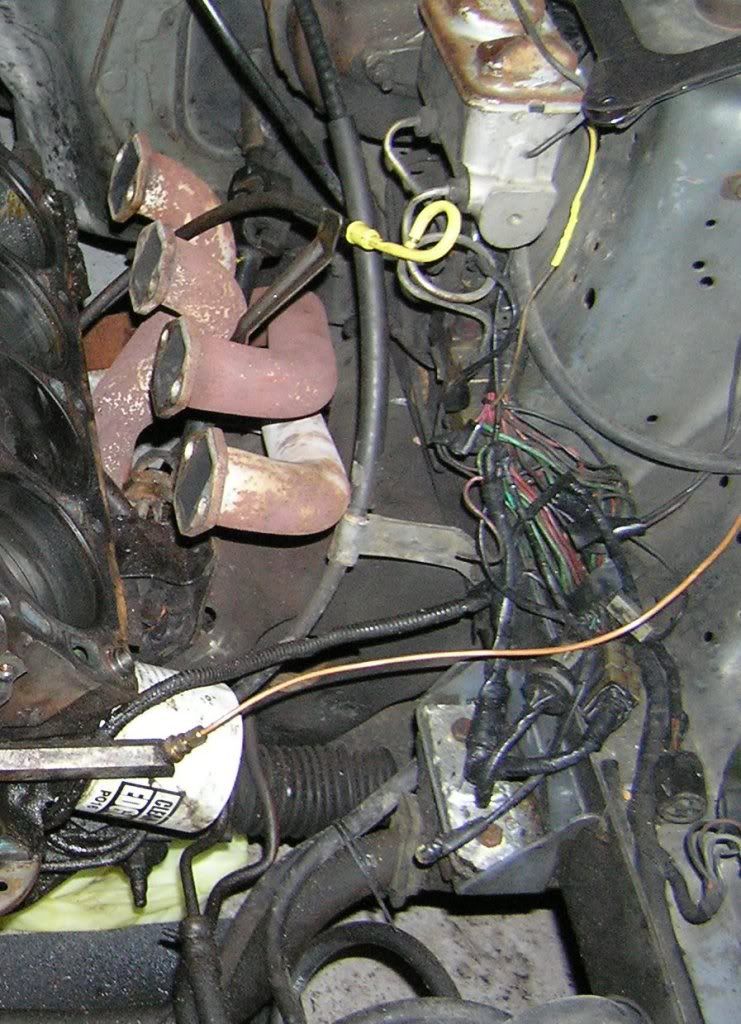 Photo: Engine harness cleanup pics